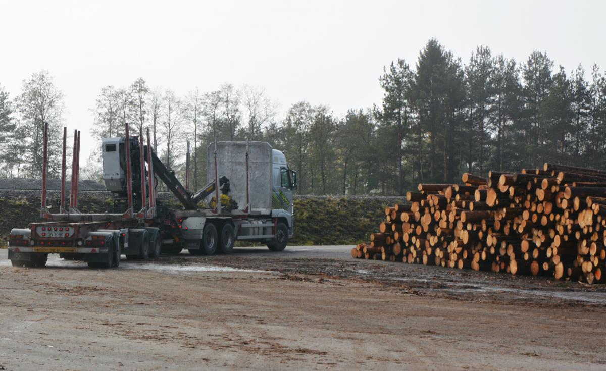 Bli med på tømmerseminar