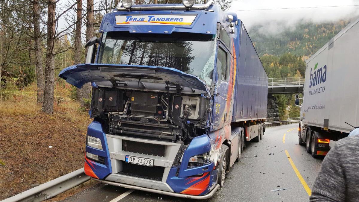 - Ikke en dag uten nestenulykker