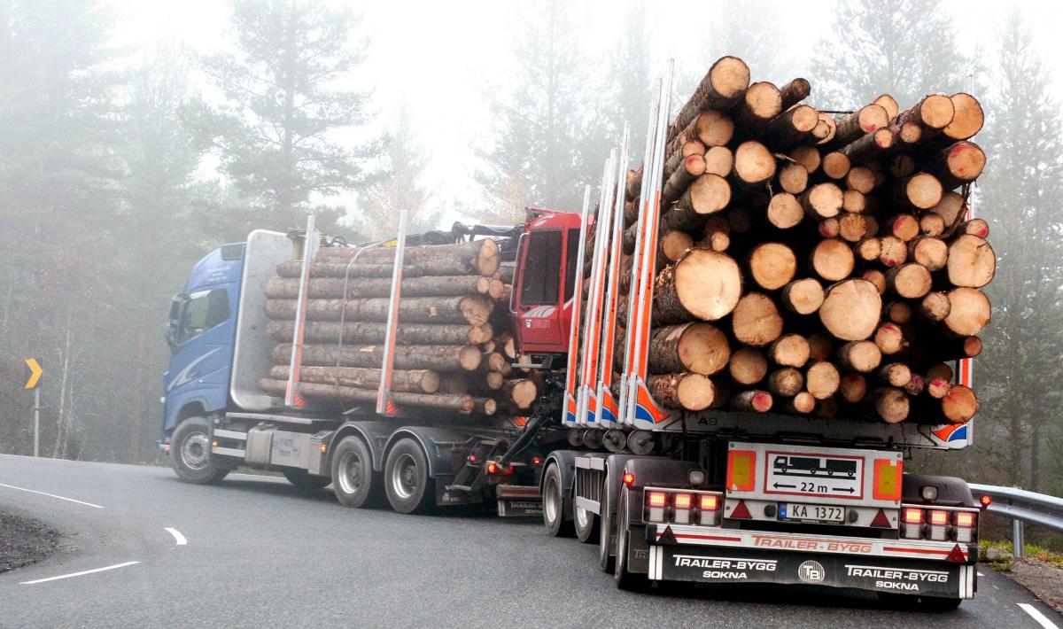 Fra stubbe til sag: Ta del i tidenes tømmerseminar