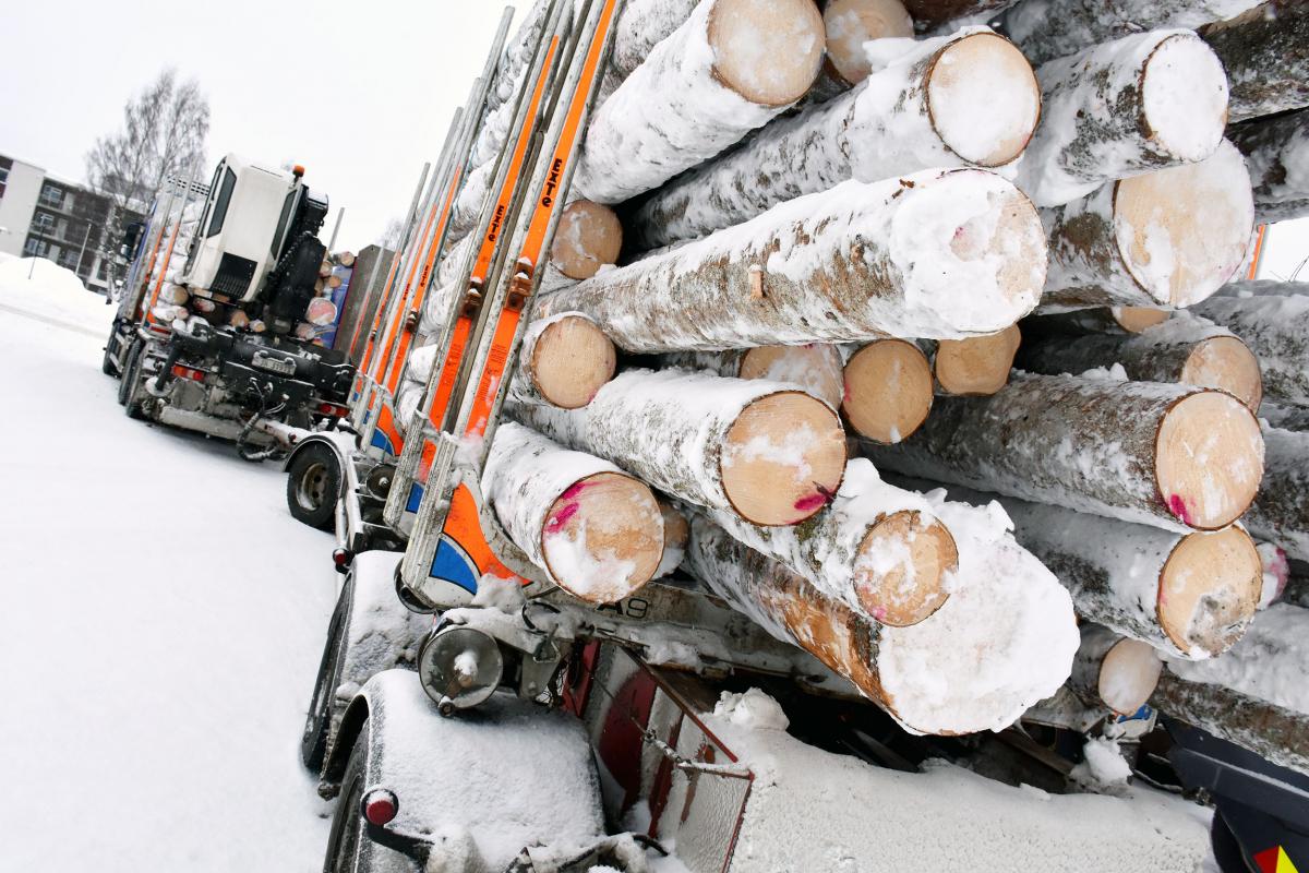 Viktig milepæl for tømmertransport