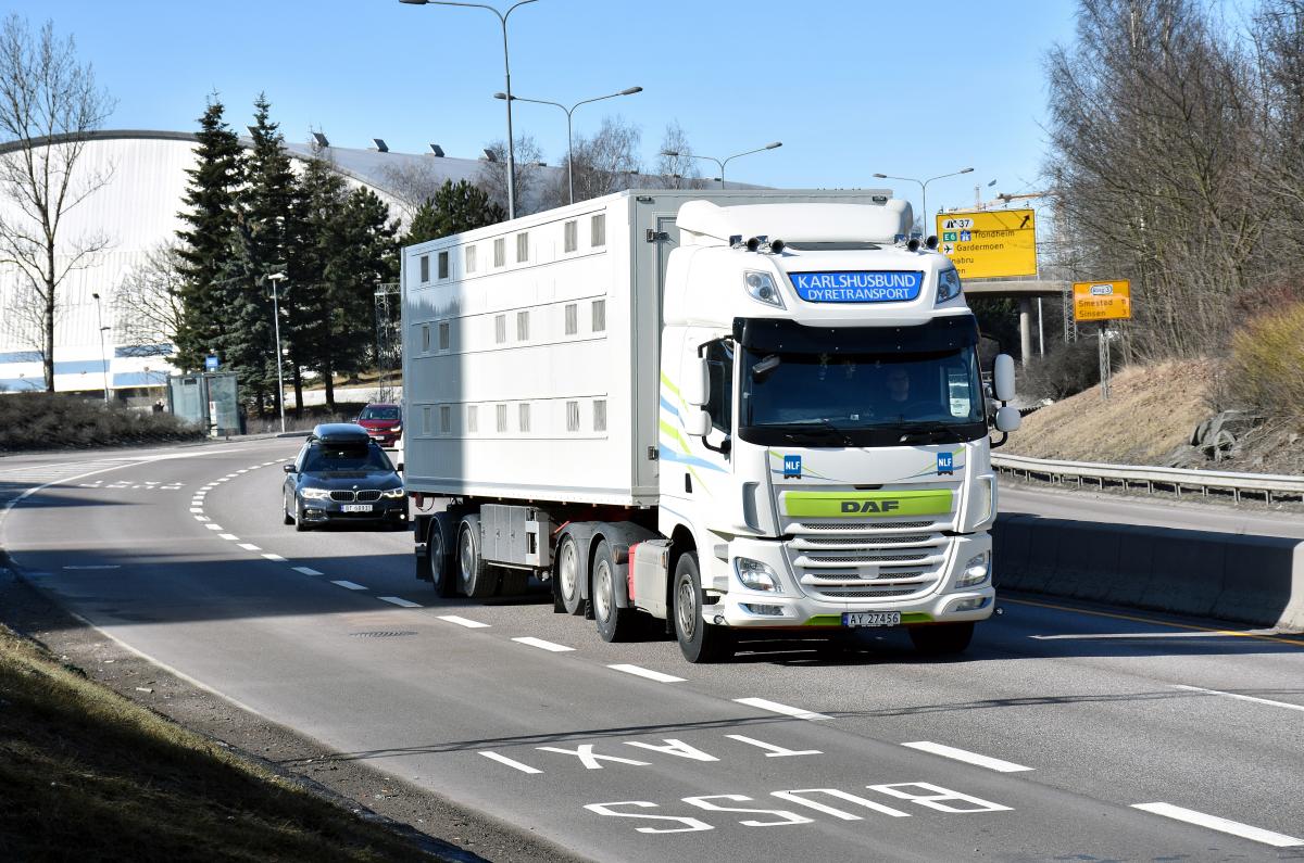 Kjøre- og hviletid: Unntak ved transport av lam
