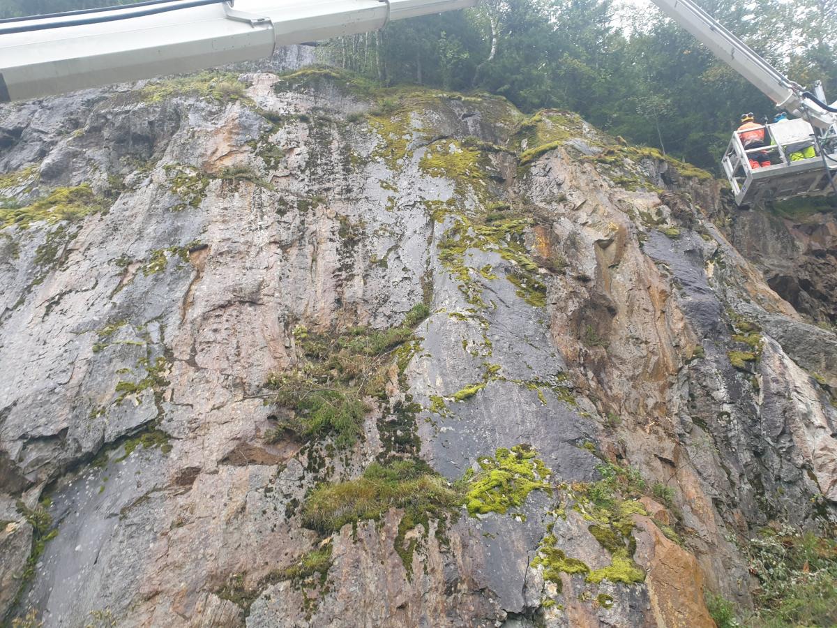 Fjellrensk ved E14 i Meråker