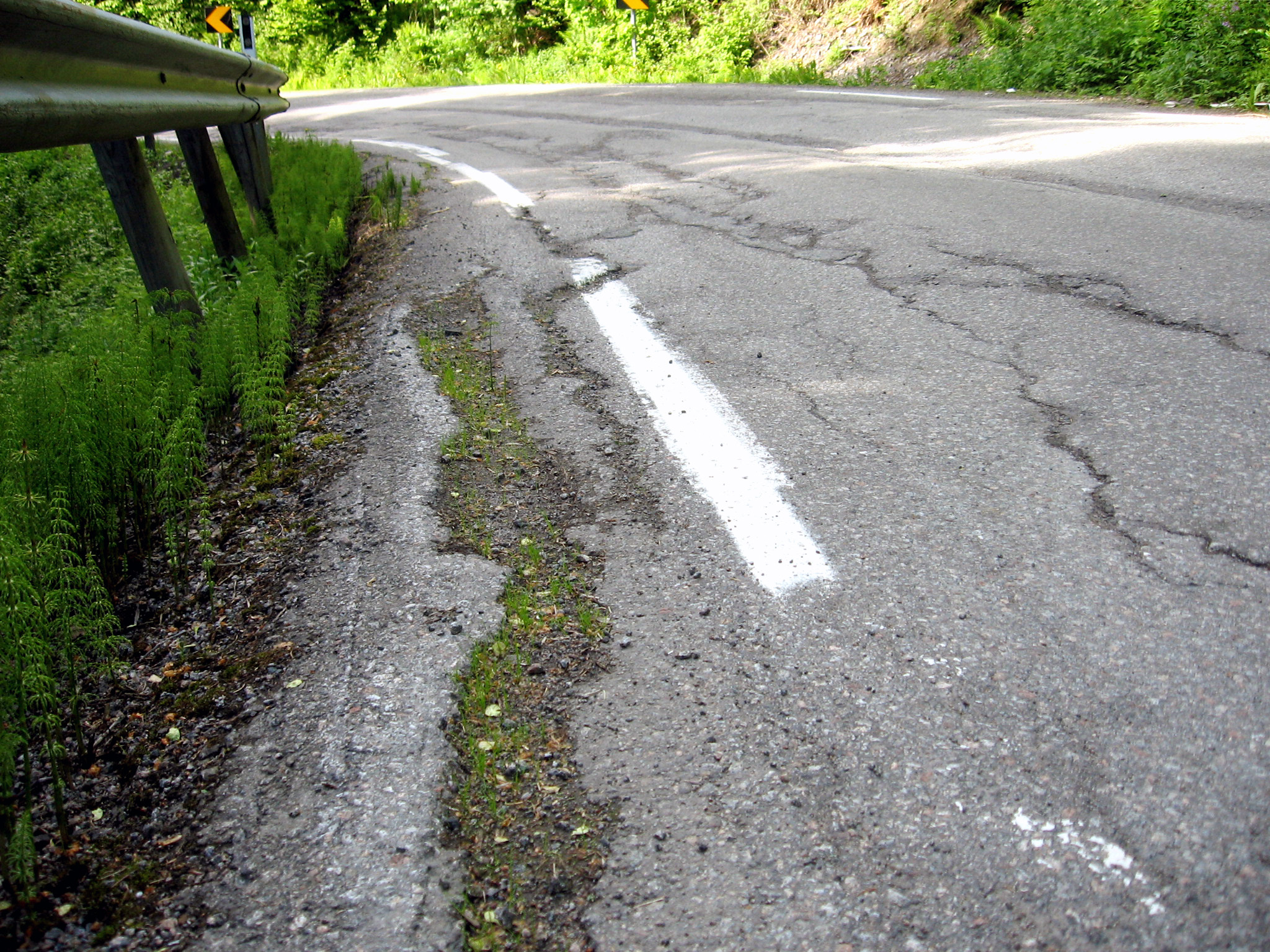 Spørsmål til fylkespolitikerne