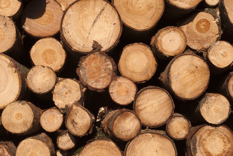 Seminar om tømmer, landbruk og levende dyr. Husk påmeldingsfristen 20. desember.