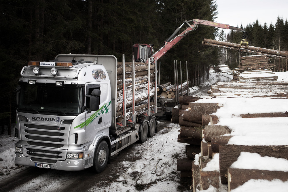 Seminar om tømmer, landbruk og levende dyr. 