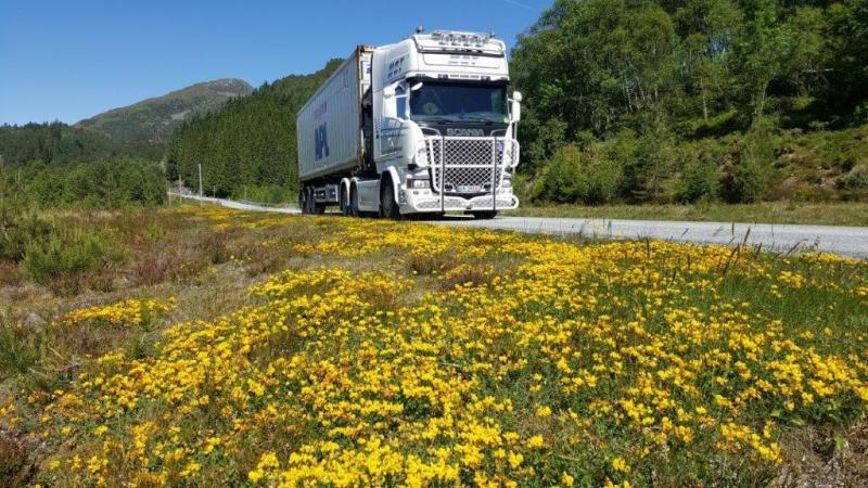 Miljø er vakker natur. Våre Euro 6 biler bidrar til å redusere utslippene.