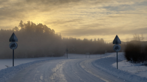 Fylkesvei 6956 i Steinkjer kommune. (Foto: Håvard Zeiner).