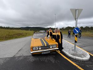 Gulstripe damene fra Hemne