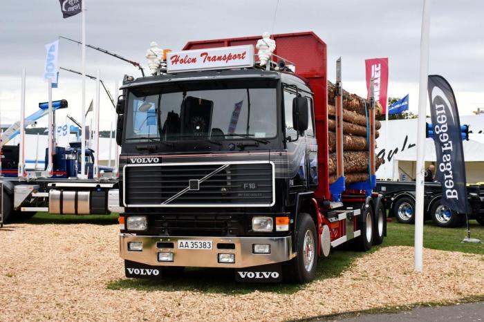 NLF-medlemmet Holen Transport hadde lånt ut sin flotte 1990-modell Volvo F16 62R til tømmerbilpåbyggeren Bergs Fegen ABs utstilling. Foto: Stein Inge Stølen